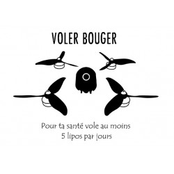 Sticker "Voler Bouger"