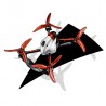 RR Drone