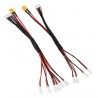 XT30 Female Plug to PH2.0 Male 1S Plug