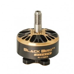 BlackBird 2207 V3 - 1975KV...