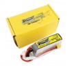 Batterie Lipo Tattu R-Line 6S 550mAh 95C - XT30