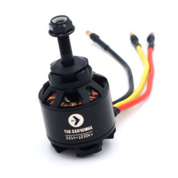 TBS Caipirinha 2 Motor