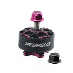 Moteur Pegasus 2207 -...