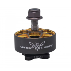 Moteur Wasp Major V2 -...