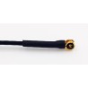 Antenne de remplacement pour XM et XM+