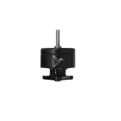 Moteurs Hummingbird 0702...