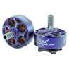 Moteur Wasp Major EVO - 22.6-6.6 2160KV - Rcinpower