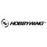 Hobbywing